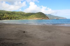 IMG_5257