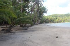 IMG_5258