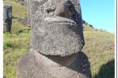 754-Rapa-Nui-Rano-Raraku