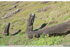 765-Rapa-Nui-Rano-Raraku