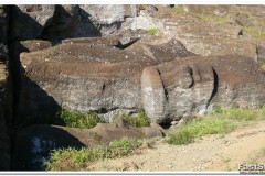 767-Rapa-Nui-Rano-Raraku