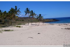 785-Rapa-Nui-Anakena