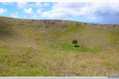 791-Rapa-Nui-Maunga-Terevaka