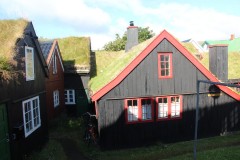 IMG_3501
