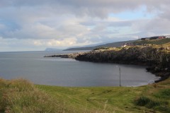 IMG_3597