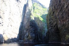 IMG_3663