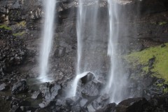 IMG_3752