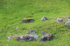 IMG_3790