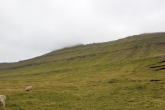 IMG_3841