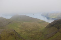 IMG_3863