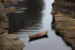 IMG_3881