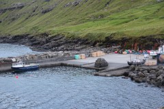 IMG_3941