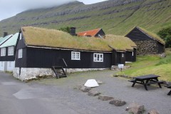 IMG_3981