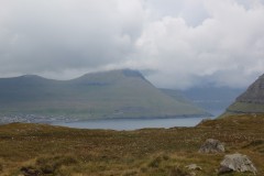 IMG_4010