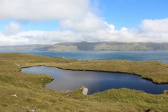 IMG_4347