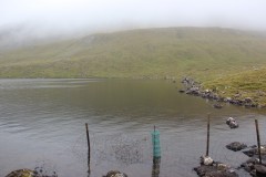 IMG_4475