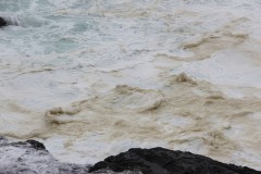 IMG_4496