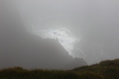 IMG_4520