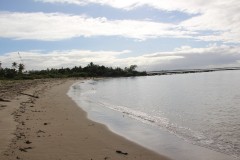 141-Korolevu
