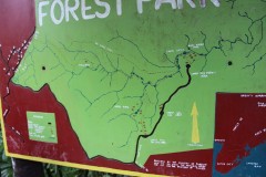 190-Colo-i-Suva-Forest-Park