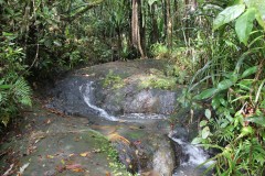 197-Waisila-Creek