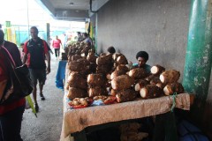 205-Municipal-Market
