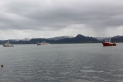 229-Suva-Harbour