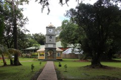 250-Thurston-Gardens-Botanic-Gardens-Clock-Tower