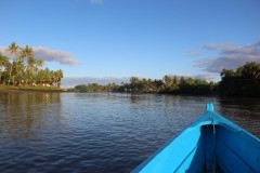 260-Rewa-Delta