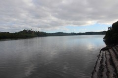 269-Rewa-Delta