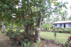 418-Wasavula-sacred-monolith