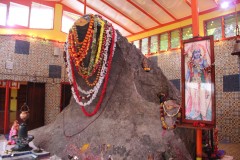 430-Naag-Mandir-Temple-Cobra-Rock