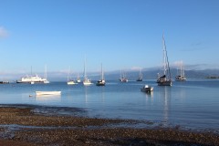445-Savusavu-Waitui-Marina
