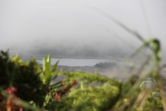 500-Taveuni-Des-Voeux-Peak-1.195m-Lake-Tagimaucia