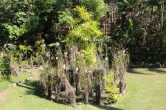 741-Sabeto-Mountains-Garden-of-the-Sleeping-Giant