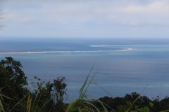 2103-Ono-Isl.-Great-Astrolabe-Reef