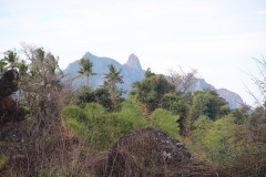 2315-Vatuvula-Waya-Isl.