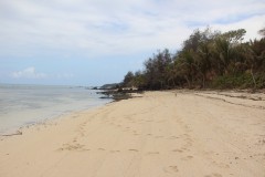 2491-Tavewa-Isl.