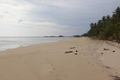 2496-Tavewa-isl.