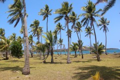 2535-Nanuya-Lailai-Isl.