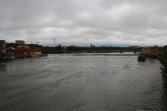 IMG_5860