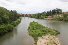 IMG_5910