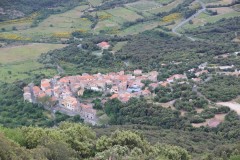 IMG_5943