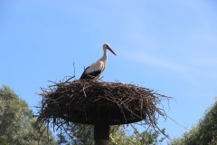 IMG_6072