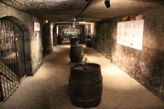 IMG_6173