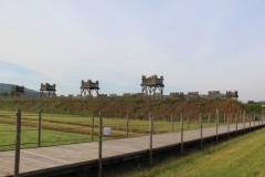 IMG_6195