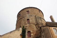 IMG_6203