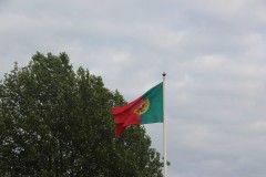 IMG_6339
