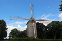 IMG_6363