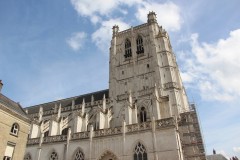IMG_6365